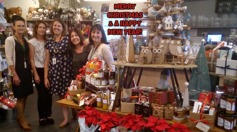 xmas team photo