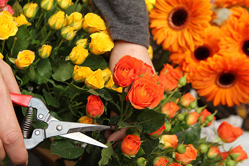 SJOG Florist